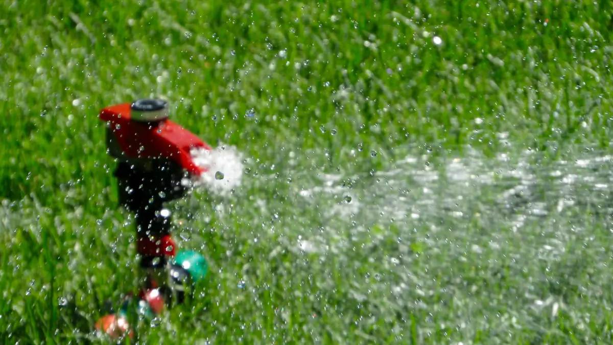 A lawn sprinkler head throwing water in the sun