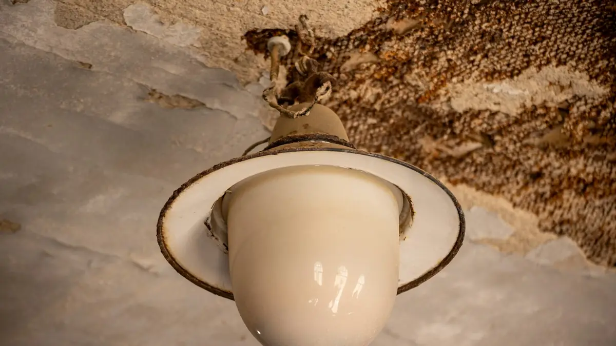 A ceiling light fixture surrounded by water-stained, peeling ceiling - Wall Leak Detection in Caldwell